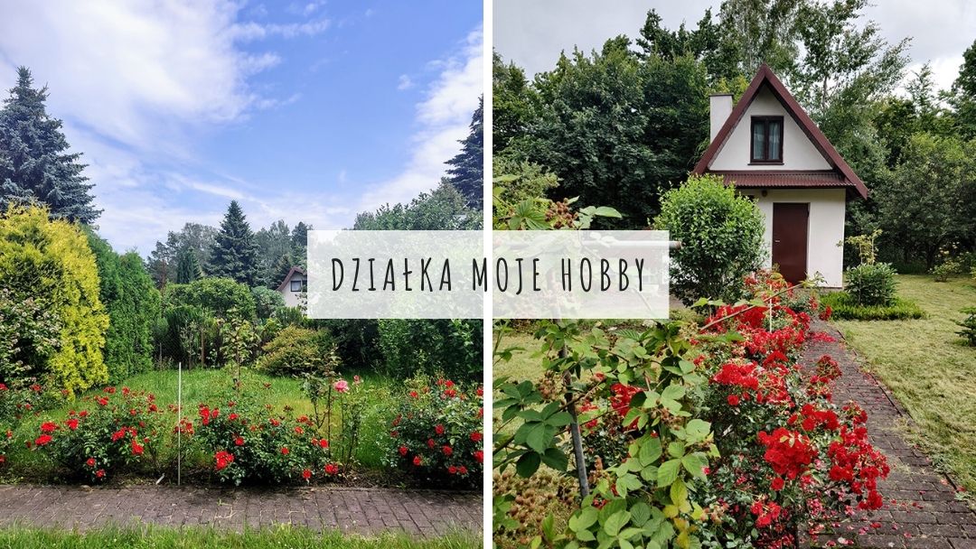 Działka moje hobby