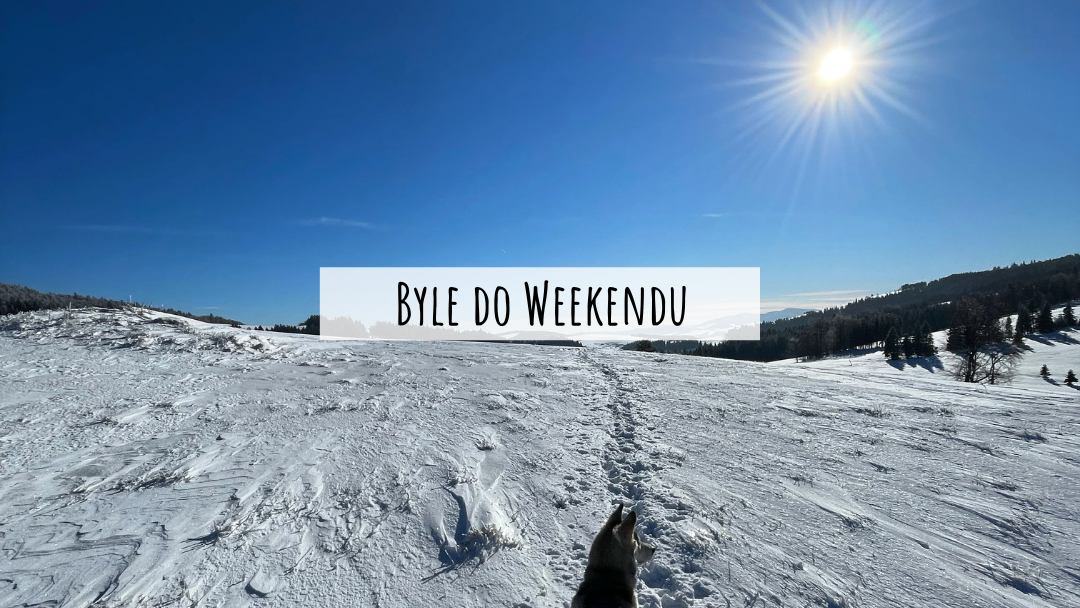 STYCZEŃ 2022 – Byle do weekendu